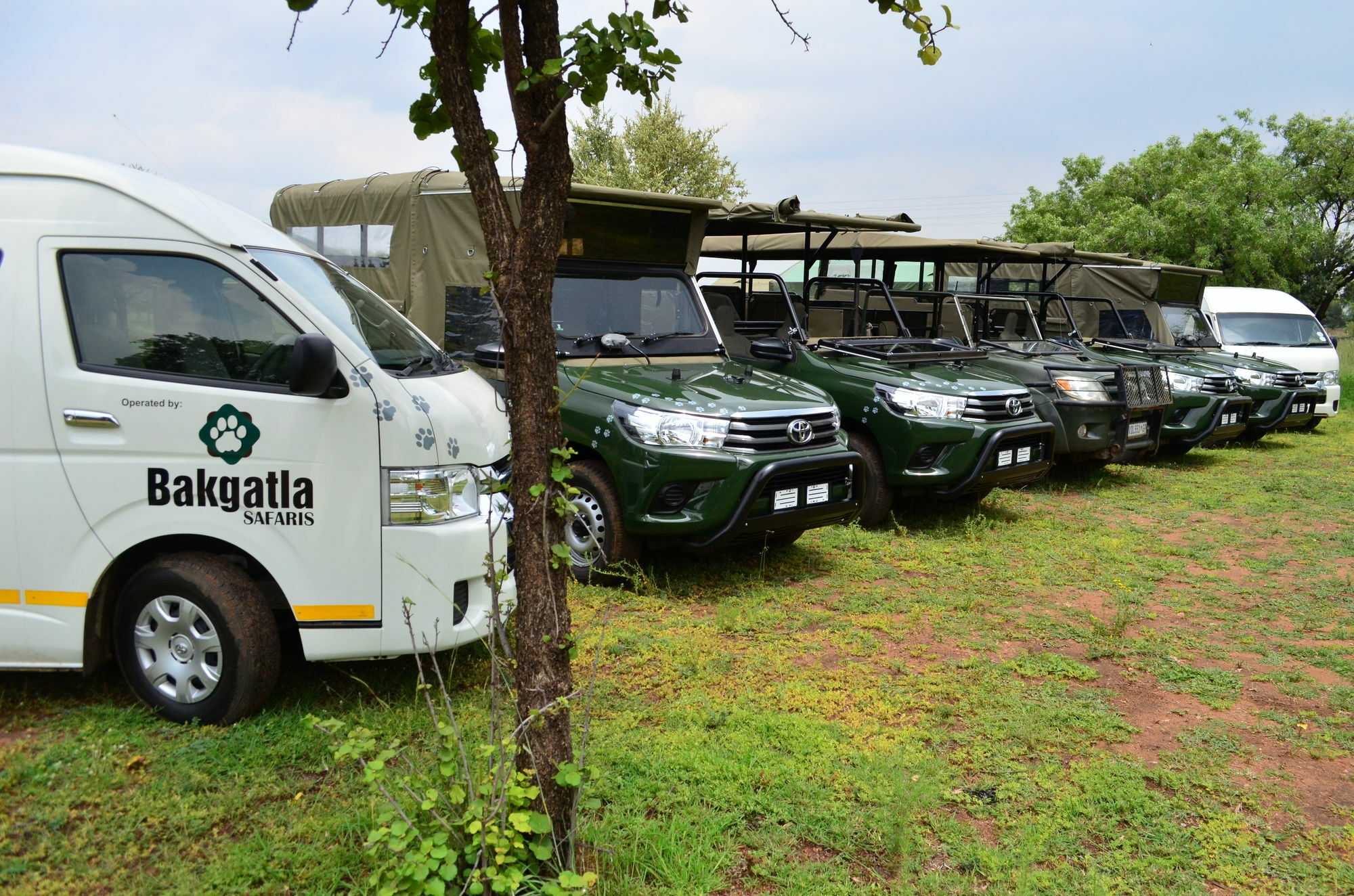 Pilanesberg Tented Safari Camp Mogwase Exterior foto